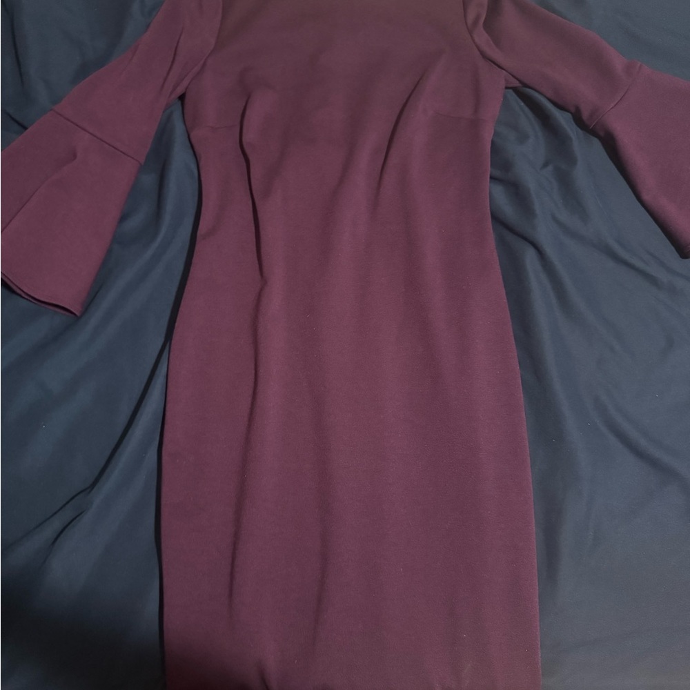 Elegant Plum Dress
